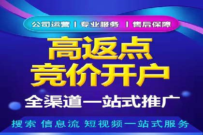 SEM推广公司案例：打造高效营销体系